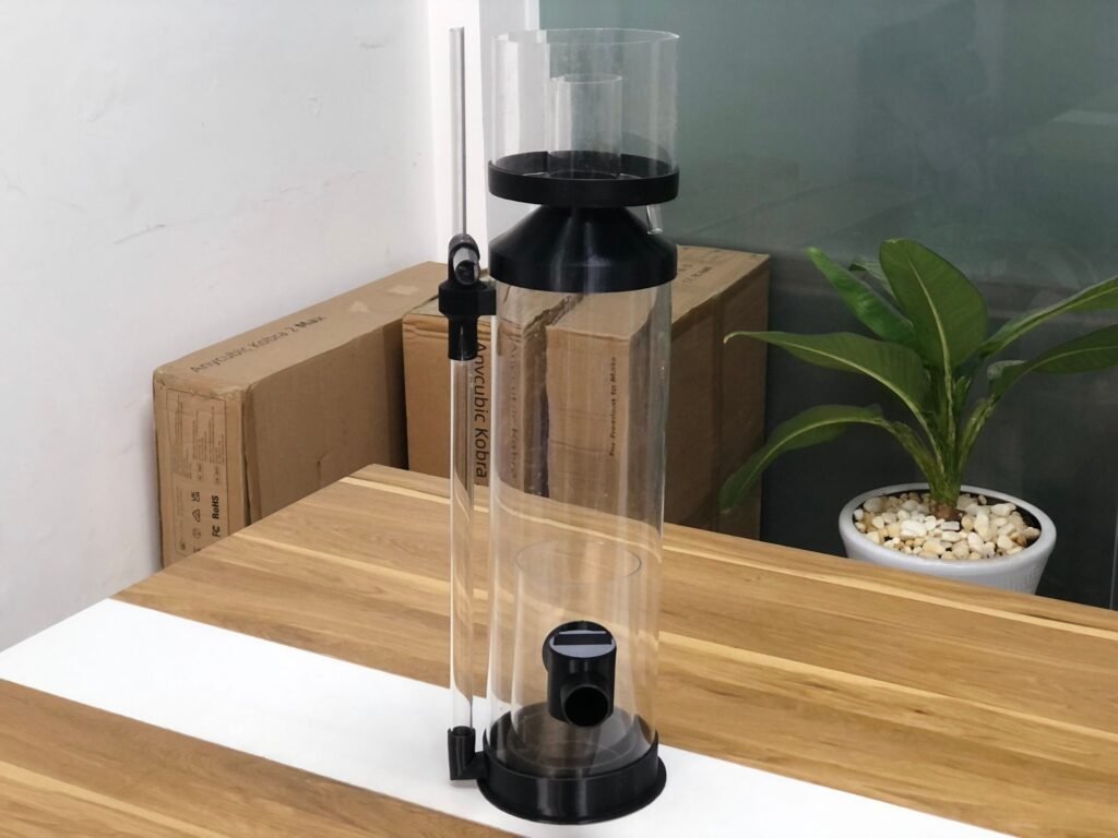 Hồ Cá San Hô Biển